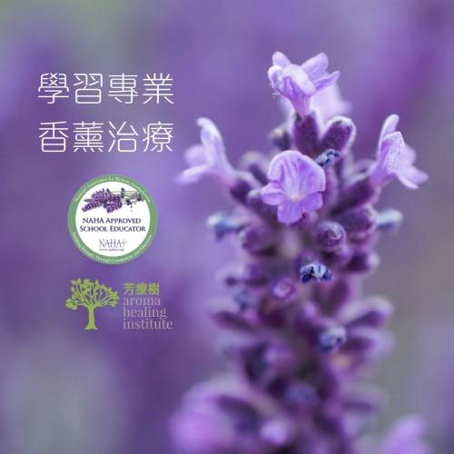 NAHA芳療師証書課程